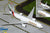 GeminiJets G2UAE1476 1:200 Emirates Skycargo Boeing 777F (Interactive Series)